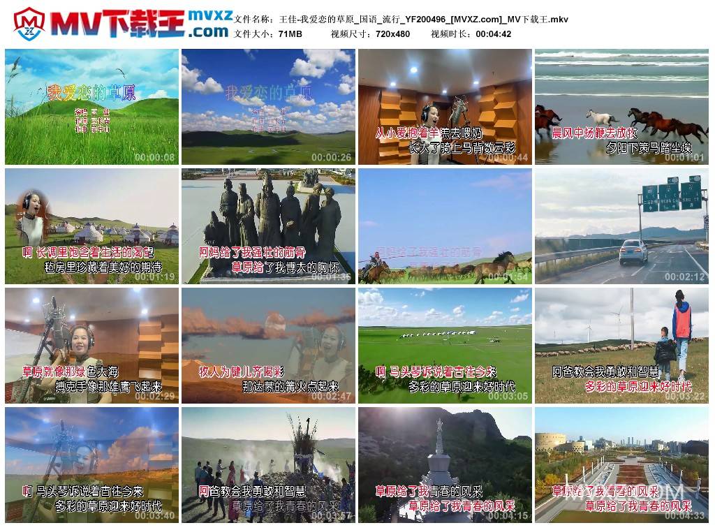 王佳-我爱恋的草原_国语_流行_YF200496